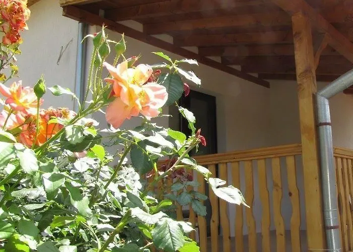 Vergie, Fully Private * Сапарева Баня